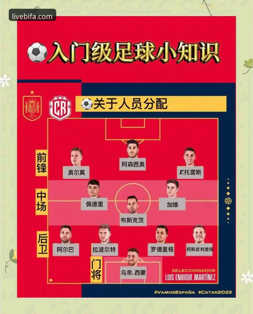必发体育赛事直播功能详解 必发体育赛事直播功能详解:新手必备的实用观赛指南