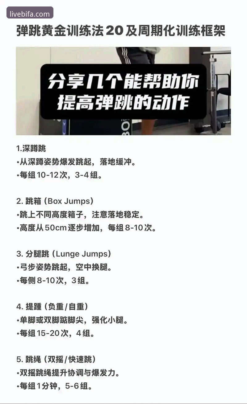BIFA体育必备 资深体育迷分享BIFA体育必备的使用心得与实战攻略